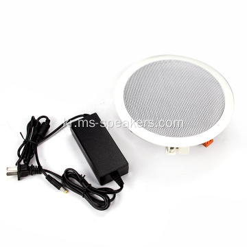 20 Watt Bluetooth 액티브 Hifi 천장 스피커